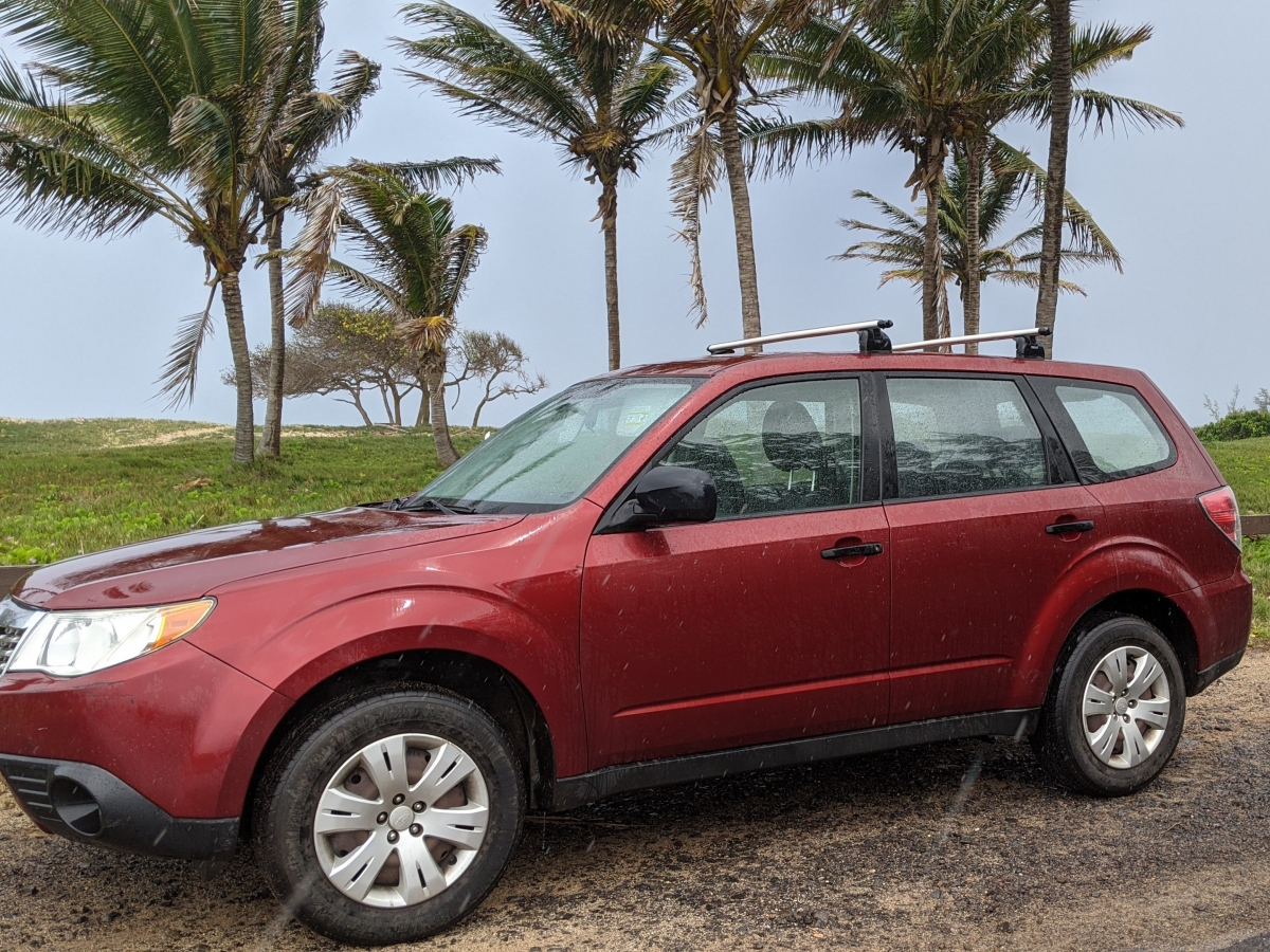 You are currently viewing FORESTER SUBARU
